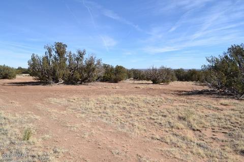 3829 Petersen Rd, Snowflake, AZ 85937 photo 10