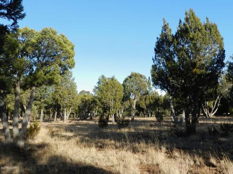 2356 Immelman Cir, Overgaard, AZ 85933 photo 8
