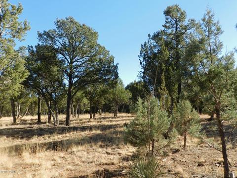 2356 Immelman Cir, Overgaard, AZ 85933 photo 10
