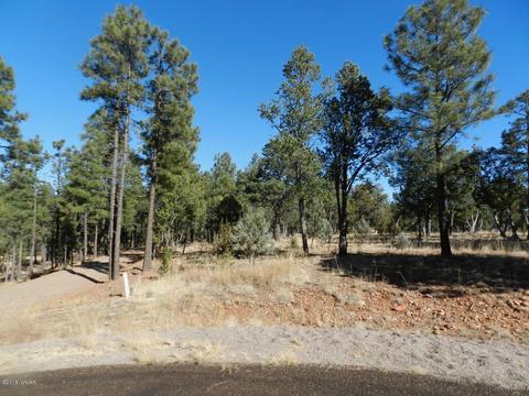 2356 Immelman Cir, Overgaard, AZ 85933 photo 3