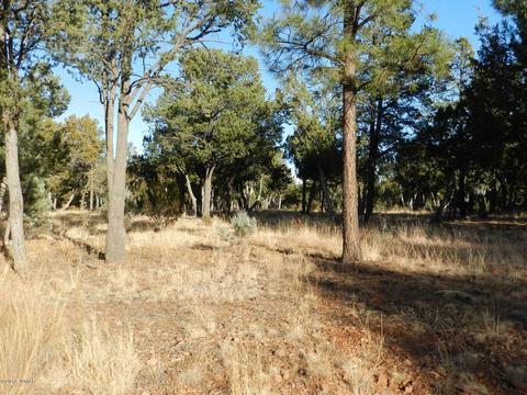 2356 Immelman Cir, Overgaard, AZ 85933 photo 6