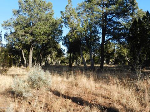 2356 Immelman Cir, Overgaard, AZ 85933 photo 7