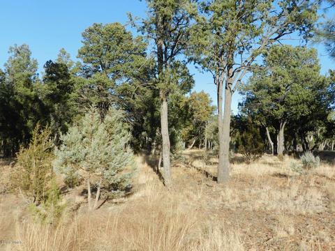 2356 Immelman Cir, Overgaard, AZ 85933 photo 5