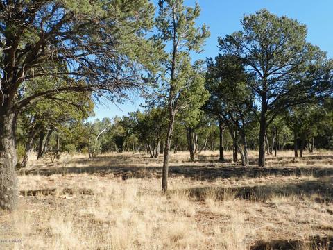 2356 Immelman Cir, Overgaard, AZ 85933 photo 9
