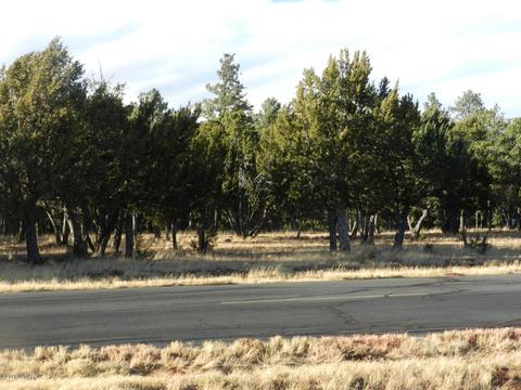 2356 Immelman Cir, Overgaard, AZ 85933 photo 11