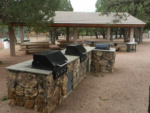 2356 Immelman Cir, Overgaard, AZ 85933 photo 22
