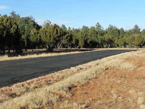 2356 Immelman Cir, Overgaard, AZ 85933 photo 12