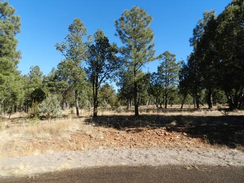 2356 Immelman Cir, Overgaard, AZ 85933 photo 4