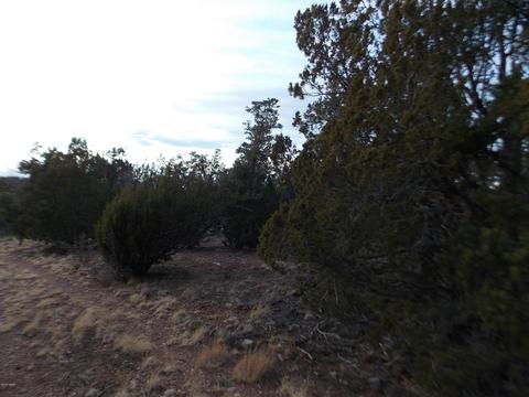2836 Thunderbird Way, Overgaard, AZ 85933 photo 5