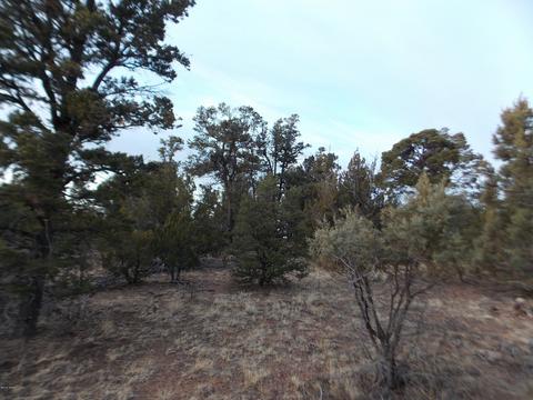 2836 Thunderbird Way, Overgaard, AZ 85933 photo 6