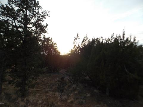 2836 Thunderbird Way, Overgaard, AZ 85933 photo 4