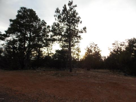2836 Thunderbird Way, Overgaard, AZ 85933 photo 1