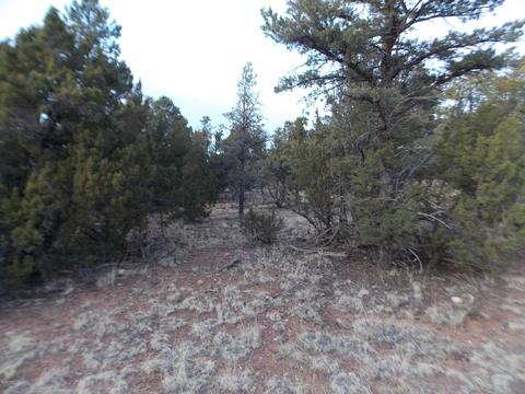 2836 Thunderbird Way, Overgaard, AZ 85933 photo 7