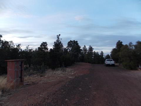 2836 Thunderbird Way, Overgaard, AZ 85933 photo 8