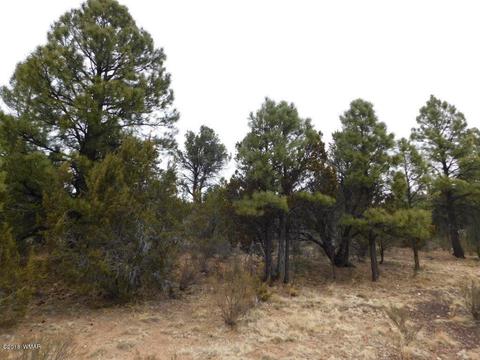 2950 Ranch House Rd, Overgaard, AZ 85933 photo 1