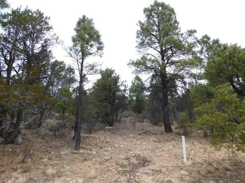 2950 Ranch House Rd, Overgaard, AZ 85933 photo 9