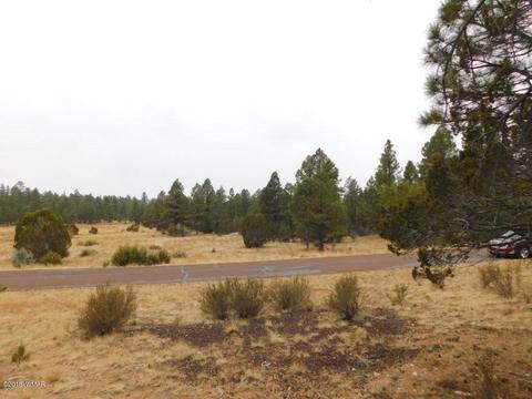 2950 Ranch House Rd, Overgaard, AZ 85933 photo 11