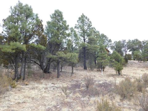 2950 Ranch House Rd, Overgaard, AZ 85933 photo 4