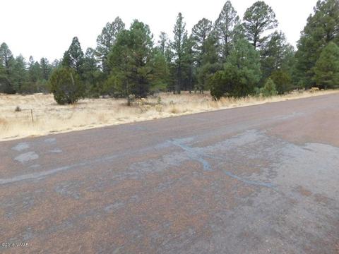 2950 Ranch House Rd, Overgaard, AZ 85933 photo 13