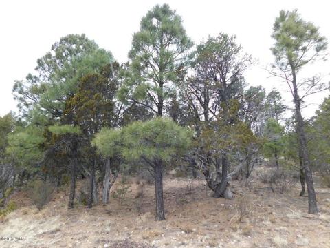 2950 Ranch House Rd, Overgaard, AZ 85933 photo 6