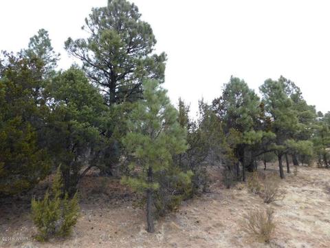 2950 Ranch House Rd, Overgaard, AZ 85933 photo 3