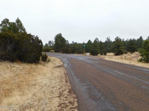 2950 Ranch House Rd, Overgaard, AZ 85933 photo 14