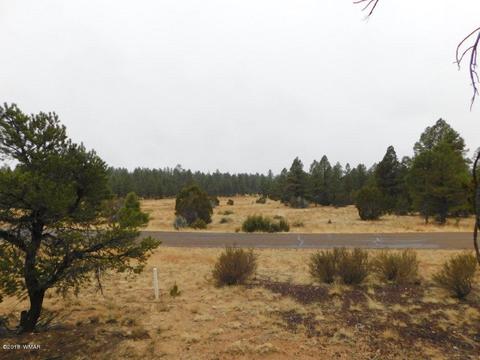 2950 Ranch House Rd, Overgaard, AZ 85933 photo 10