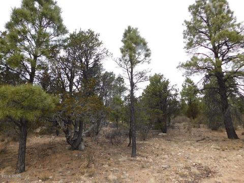 2950 Ranch House Rd, Overgaard, AZ 85933 photo 7