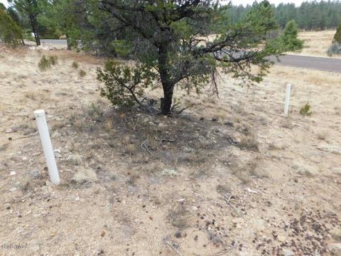 2950 Ranch House Rd, Overgaard, AZ 85933 photo 12