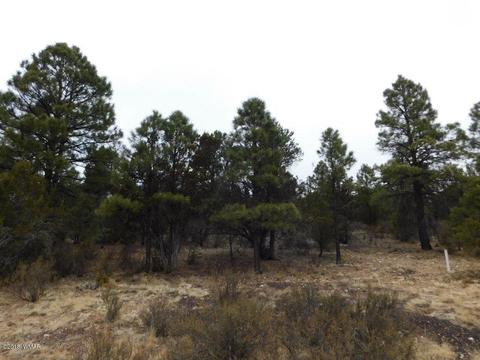 2950 Ranch House Rd, Overgaard, AZ 85933 photo 5