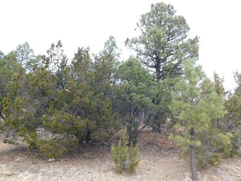 2950 Ranch House Rd, Overgaard, AZ 85933 photo 2