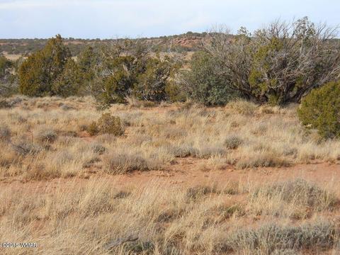 3995 Cortez Rd, Snowflake, AZ 85937 photo 16