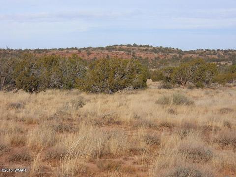 3995 Cortez Rd, Snowflake, AZ 85937 photo 11