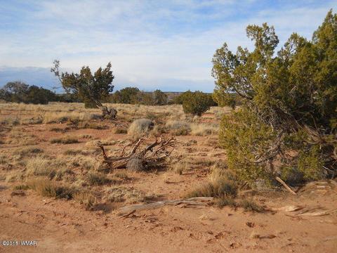 3995 Cortez Rd, Snowflake, AZ 85937 photo 3