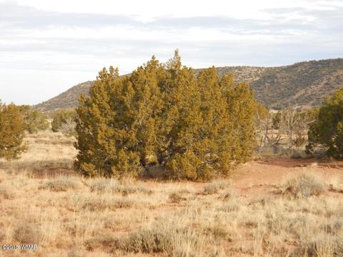 3995 Cortez Rd, Snowflake, AZ 85937 photo 4