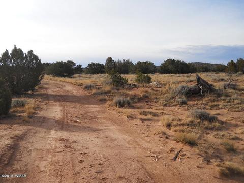 3995 Cortez Rd, Snowflake, AZ 85937 photo 7