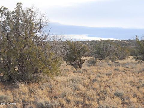 3995 Cortez Rd, Snowflake, AZ 85937 photo 14