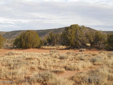 3995 Cortez Rd, Snowflake, AZ 85937 photo 12