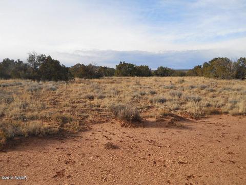 3995 Cortez Rd, Snowflake, AZ 85937 photo 10