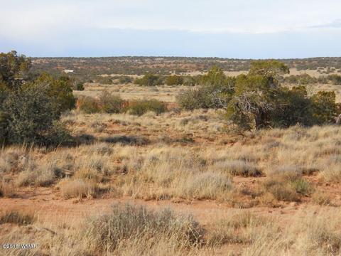 3995 Cortez Rd, Snowflake, AZ 85937 photo 5