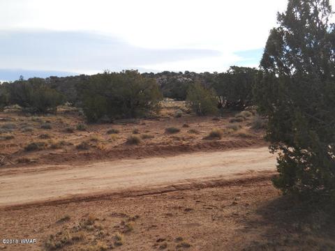 3995 Cortez Rd, Snowflake, AZ 85937 photo 2