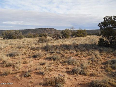 3995 Cortez Rd, Snowflake, AZ 85937 photo 17