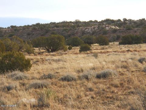 3995 Cortez Rd, Snowflake, AZ 85937 photo 1