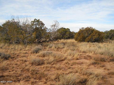3995 Cortez Rd, Snowflake, AZ 85937 photo 13
