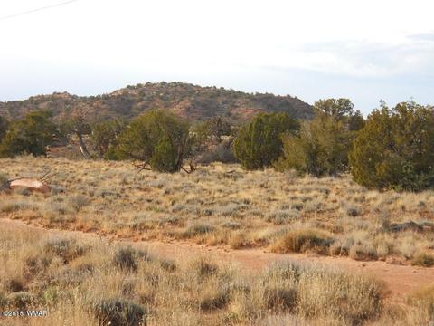 3995 Cortez Rd, Snowflake, AZ 85937 photo 15