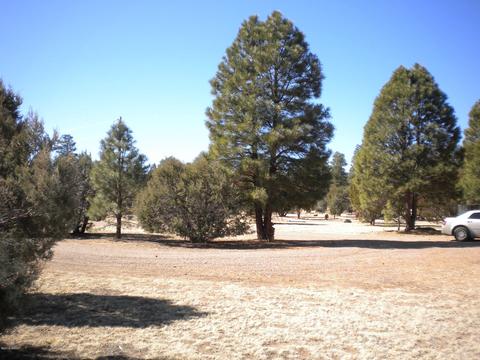 2817 Kelton Cir, Overgaard, AZ 85933 photo 6
