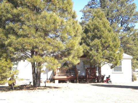 2817 Kelton Cir, Overgaard, AZ 85933 photo 1