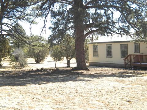 2817 Kelton Cir, Overgaard, AZ 85933 photo 3