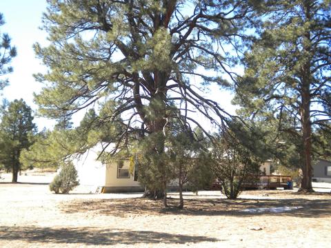 2817 Kelton Cir, Overgaard, AZ 85933 photo 7