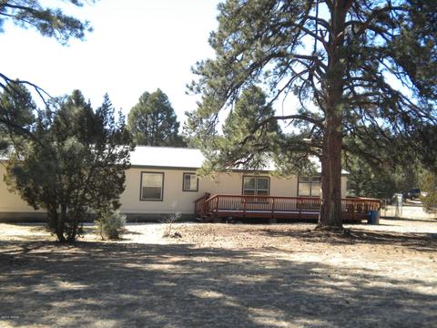 2817 Kelton Cir, Overgaard, AZ 85933 photo 2